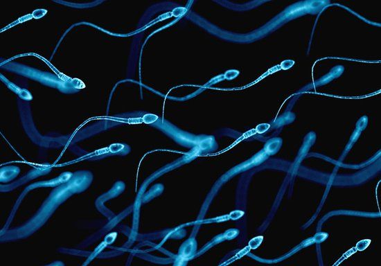 Male infertility treatment & semen analysis testing