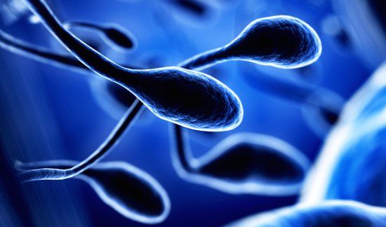 Failed IVF cycle? Repeated miscarriage? Why a sperm DNA fragmentation test could help