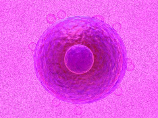 How much do you know about your eggs?