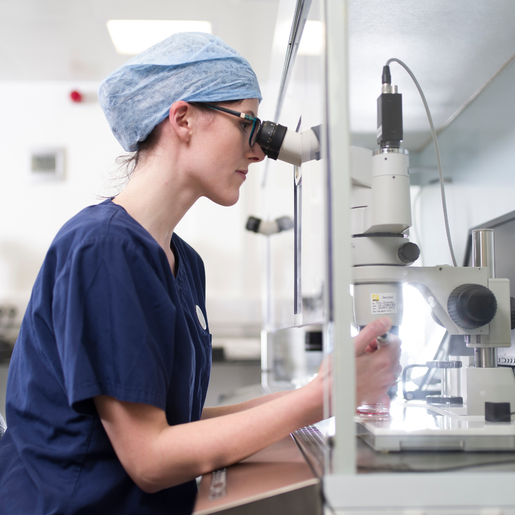 Intracytoplasmic Sperm Injection (ICSI)