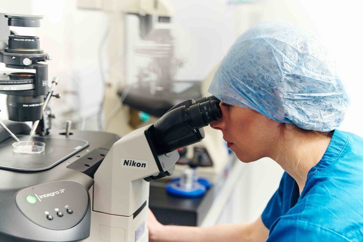 Blastocyst Transfer