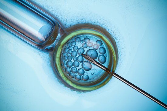  Things every man and woman should know about IVF