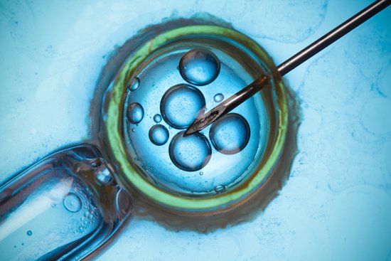 What is IVF? Your snapshot guide to fertility treatments