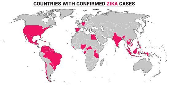 Holiday advice: the Zika virus and fertility, your questions answered