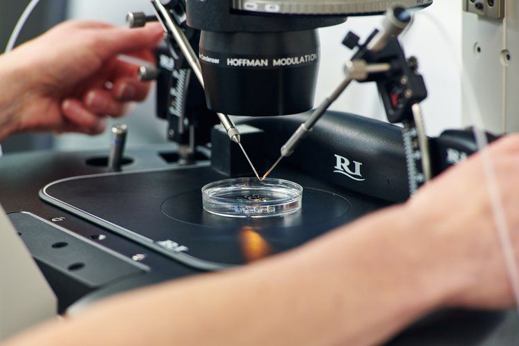 Intracytoplasmic Sperm Injection (ICSI)