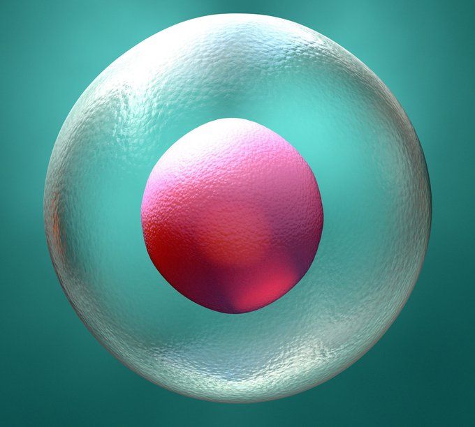 Promoting implantation