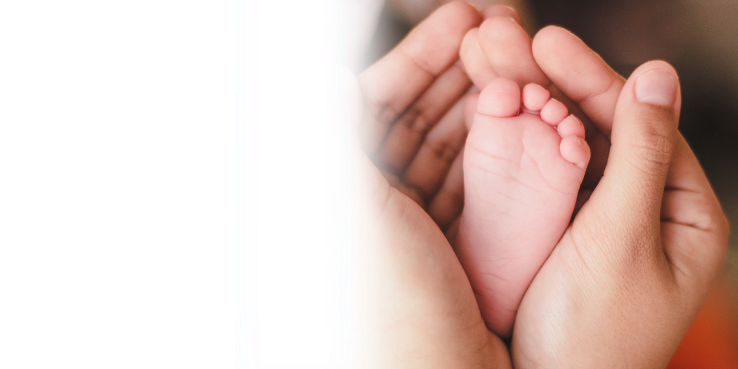 Fertility Assessments & Checks