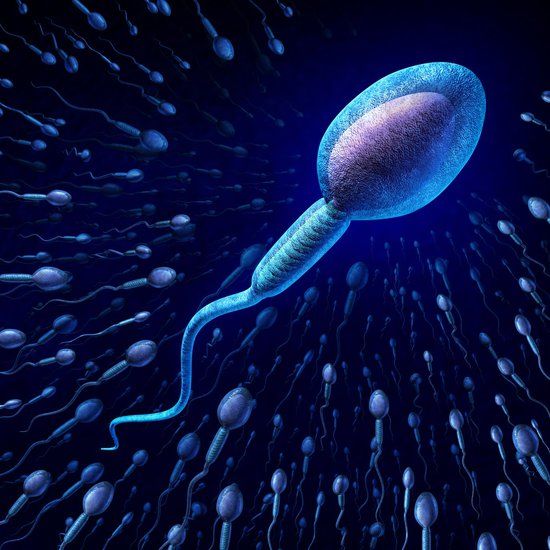 Male infertility - how our specialist treatments can maximise success