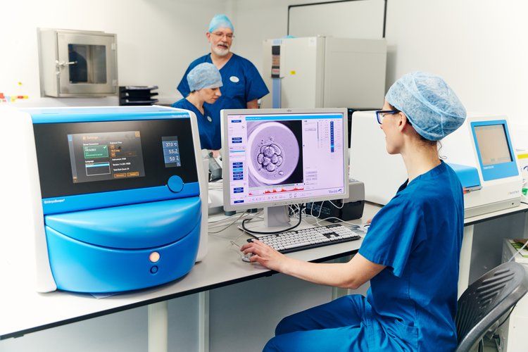 In-Vitro Fertilisation (IVF)