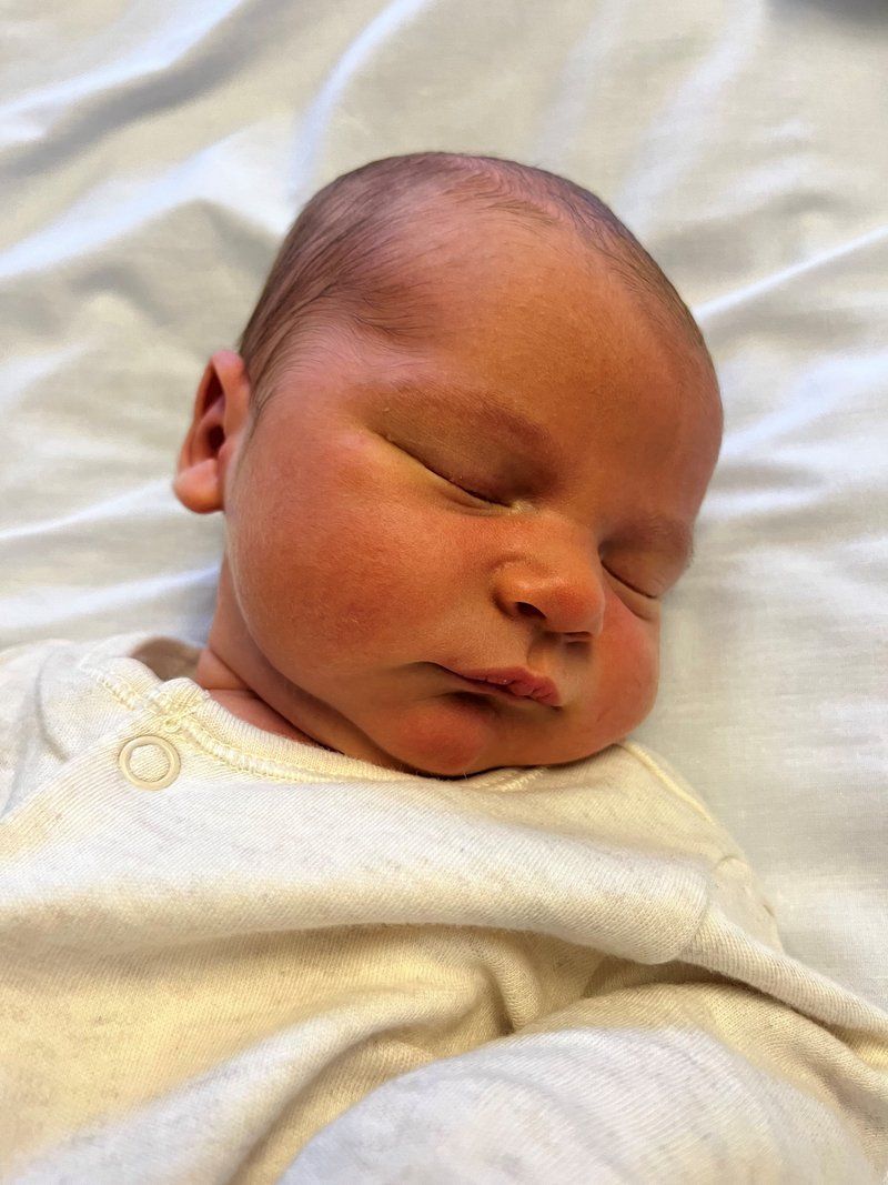 Baby Rocco