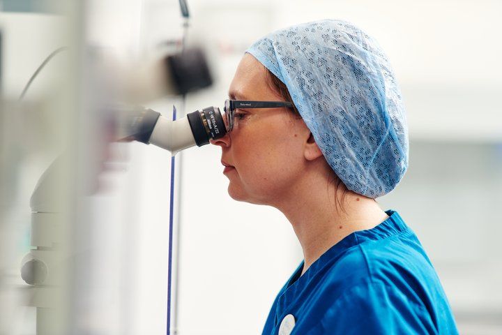 Male Fertility Testing