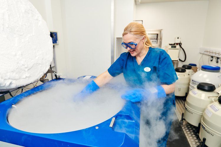 Frozen Embryo Transfer