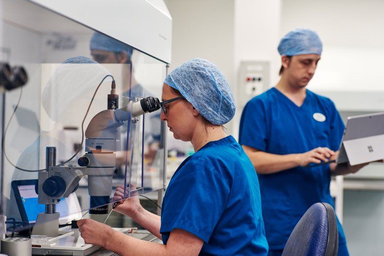 IVF with Donor Eggs and/or Sperm